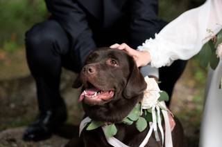 P&P Fotografia - 7