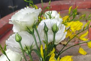 La Gardenia Flower & Decoration - 9