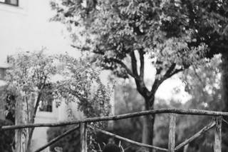 Tommaso Scalise Videography - 1