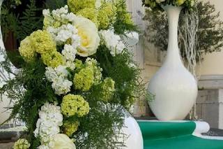 La Primavera Ruggiero - 20