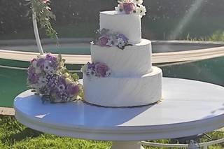 Passion Flower Kb - 11