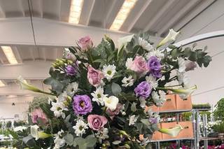 Passion Flower Kb - 13