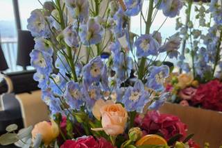Floralia - 5
