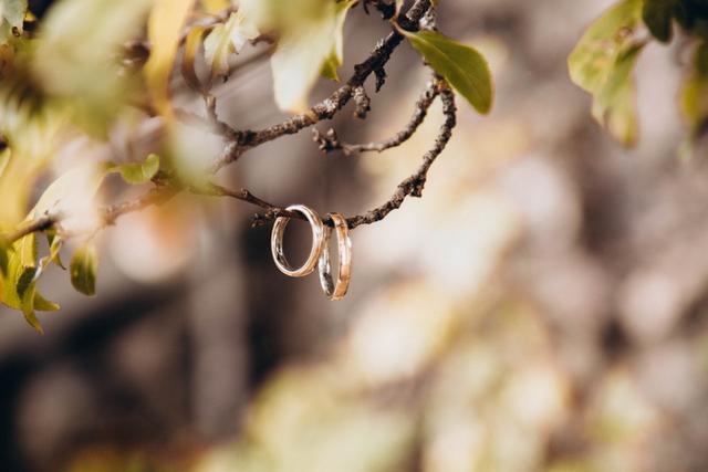 Pur Tres Photography - 1