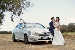 Urso Fotografia - 30