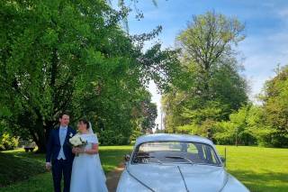 Le Auto di Magnolia - 19