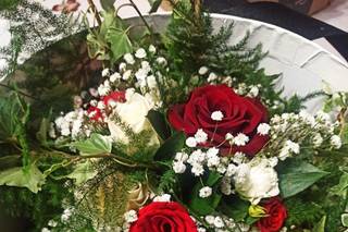 Aster - 17