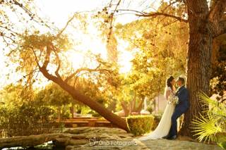 Urso Fotografia - 32