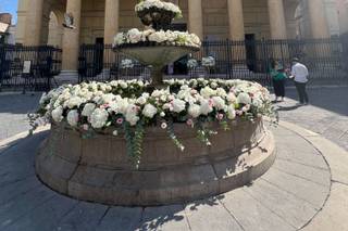 La Gardenia di Gerardo Palmieri - 7