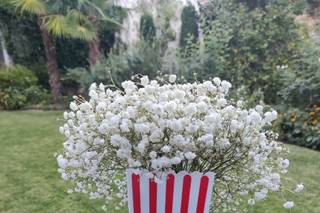 Il Giardino di Pan - 16