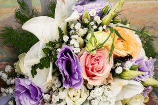 Punto Fiore - 8