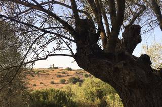 Commenda di San Calogero - 17