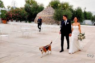 Tenuta Montevitolo - 19