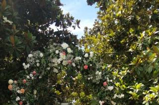Fiori & Fantasie - 5