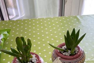 Mezzaluna bomboniere - 6