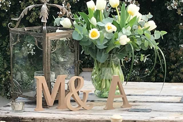 Weddings and Dreams 2