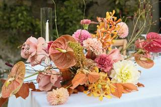 Eleonora Tebaldi Events - 5