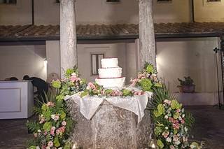 Piante e Fiori di Astolfi Italia - 5
