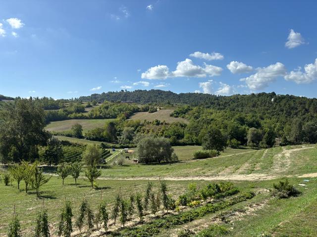 Hemanaire - 1