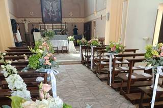 Piante e Fiori di Astolfi Italia - 7
