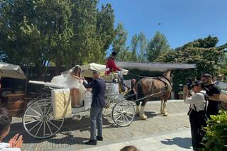 La Laurentia Horse House - 18