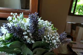 H2O Fiori - 15