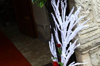 Fantasie Floreali & Ara Event - 7