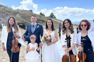 Il Canto del Violino - 1