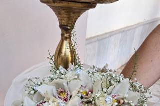 Albachiara di Crea Maria - 16