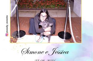 Ila Wedding Dog Sitter - 10