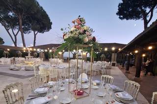 Tenuta Flaminia Domina - 5