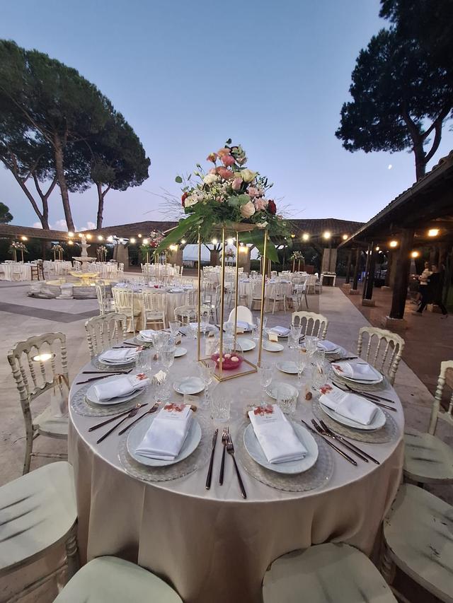 Tenuta Flaminia Domina - 1