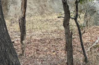 I viaggi di Marvin - 9