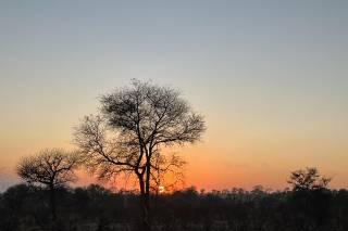 I viaggi di Marvin - 10