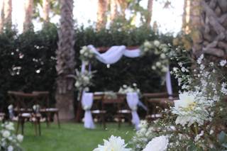 Il Giardino Segreto - 11