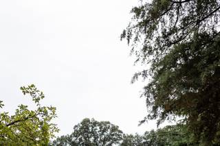 Il Caruggio Fiorito - 6