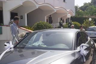Dream Cars - 6