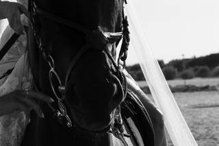 Pometta Photographer - 14