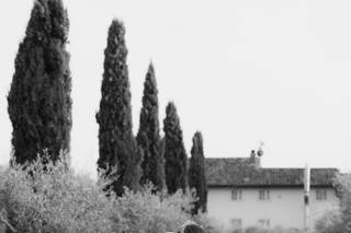 Valentina Bertoldi Photography - 5
