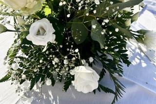 Punto Fiore - 22