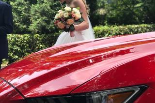 Stefano Del Quarto - Noleggio Mustang - 17