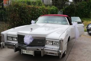 Cadillac Eldorado by Marco - 5