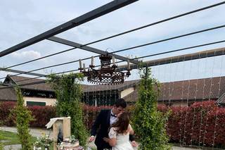 Helianthus Flower Lab - 26