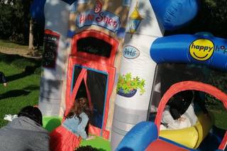 Le feste di Mirtillo - Allestimenti - 17