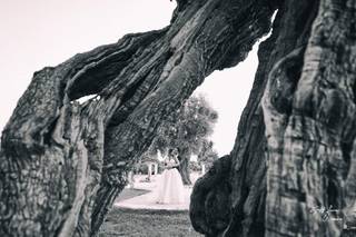 Giuseppe Ferrara Fotografo - 14