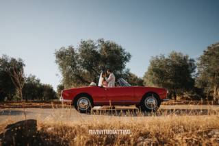 Bruni Cars - 5