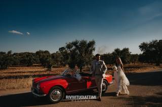 Bruni Cars - 6