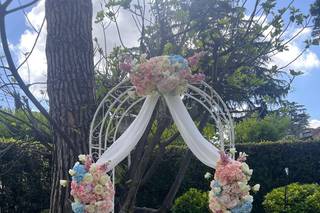 Fleurs D'Ange - 7