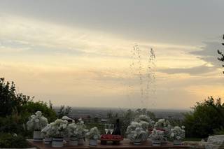 L'Ecole des Fleurs di Alba Franzoni - 5