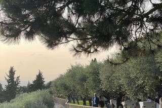Cà Toresele - 8
